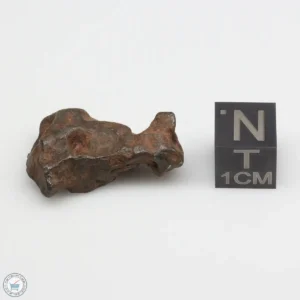 Agoudal Meteorite 10.9g