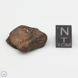 Agoudal Meteorite 9.1g