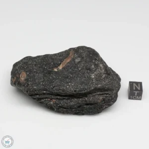 Muong Nong Tektite 171g