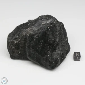 Muong Nong Tektite 509g