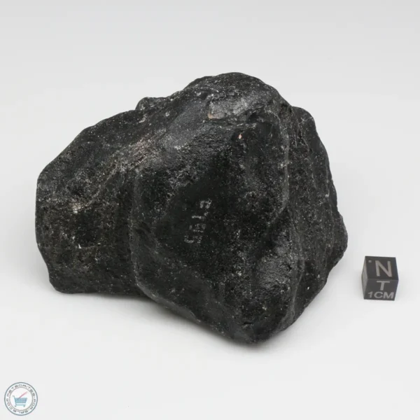 Muong Nong Tektite 509g