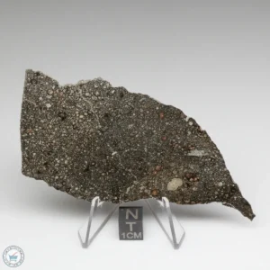 Nagjir 001 CV3 Meteorite 18.0g