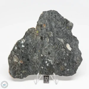 Tifariti 002 Lunar Meteorite 72.7g Slice (translucent)