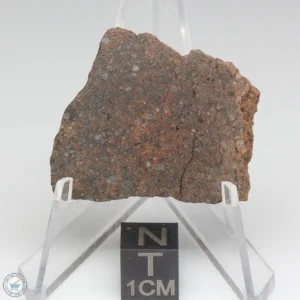 NWA 10828 Meteorite 9.5g