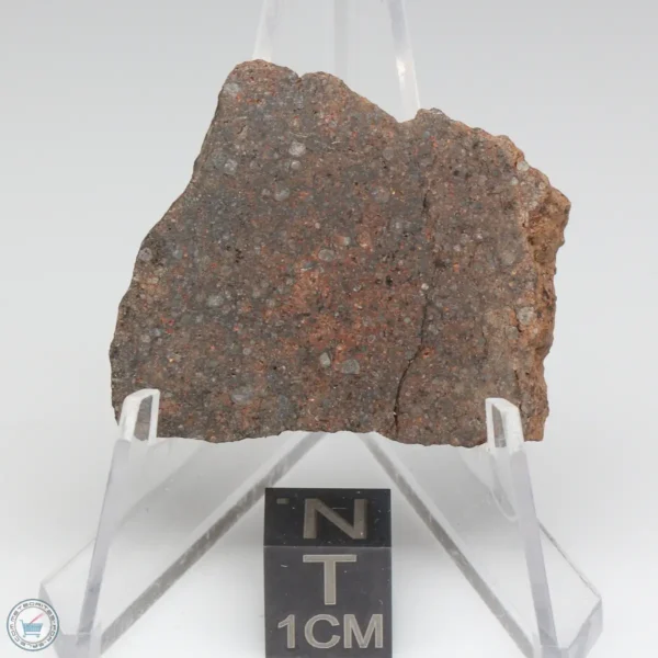 NWA 10828 Meteorite 9.5g