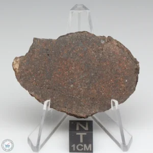 NWA 10828 Meteorite 15.7g