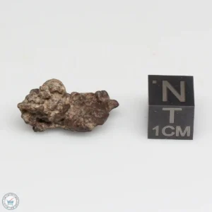 NWA 10828 Meteorite 2.5g