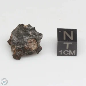 NWA 10828 Meteorite 3.9g