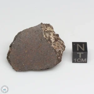 NWA 10828 Meteorite 27.0g End Cut (Copy)