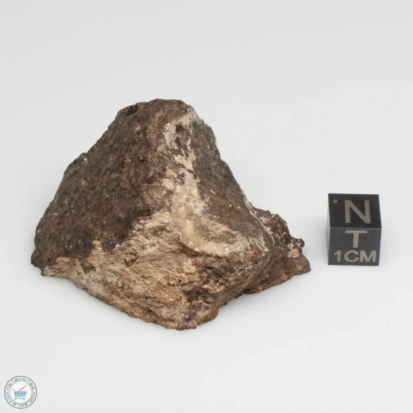 NWA 10828 Meteorite 85.8g End Cut