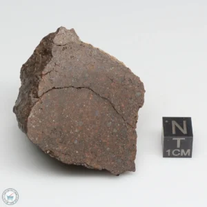 NWA 10828 Meteorite 85.8g End Cut
