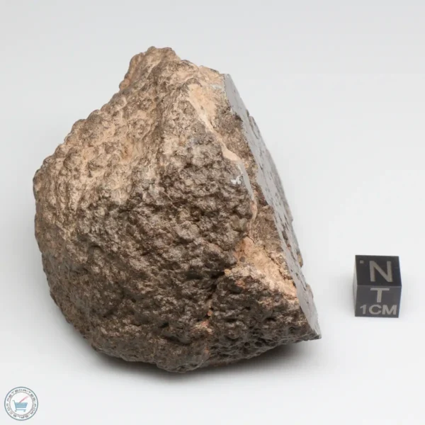 NWA 10828 Meteorite 368g End Cut