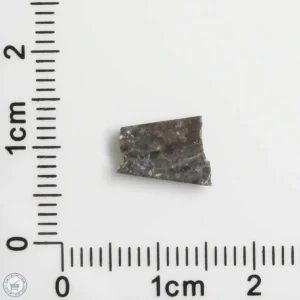 NWA 11182 Lunar Meteorite 0.22g