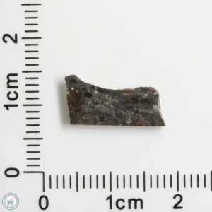 NWA 11182 Lunar Meteorite 0.31g