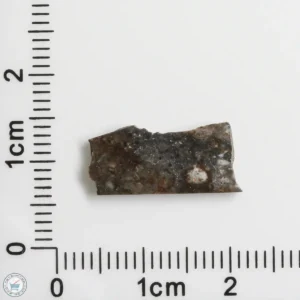 NWA 11182 Lunar Meteorite 0.45g
