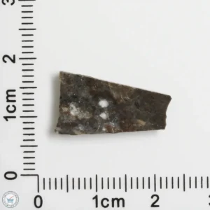 NWA 11182 Lunar Meteorite 0.73g