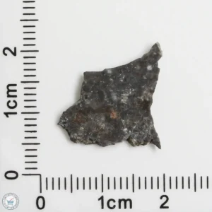 NWA 11182 Lunar Meteorite 0.48g