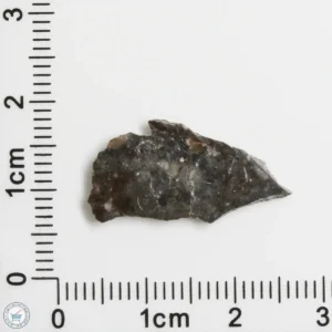 NWA 11182 Lunar Meteorite 0.51g