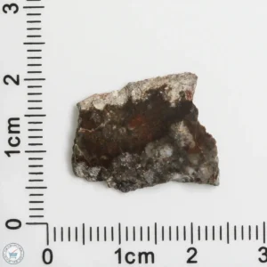 NWA 11182 Lunar Meteorite 1.01g