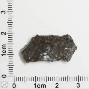 NWA 11182 Lunar Meteorite 1.17g