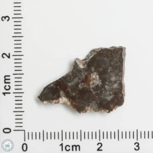 NWA 11182 Lunar Meteorite 1.19g