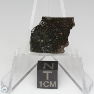 NWA 11721 Meteorite 3.0g