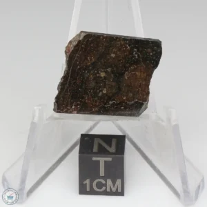 NWA 11721 Meteorite 2.8g