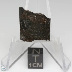 NWA 11721 Meteorite 2.9g