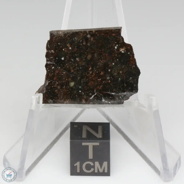 NWA 11721 Meteorite 4.1g