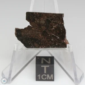 NWA 11721 Meteorite 3.6g
