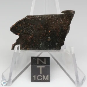 NWA 11721 Meteorite 4.7g