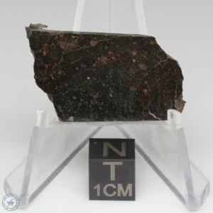 NWA 11721 Meteorite 5.7g