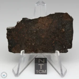 NWA 11721 Meteorite 17.1g