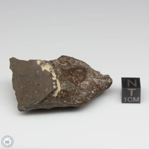 NWA 11721 Meteorite 53.9g Windowed