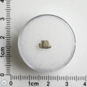 NWA 12241 Martian Meteorite 0.11g Fragment