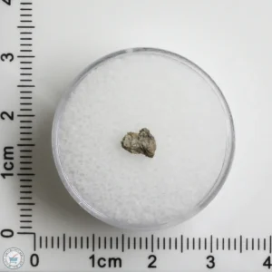 NWA 12241 Martian Meteorite 0.07g Fragment