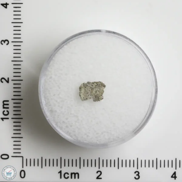 NWA 12241 Martian Meteorite 0.06g Fragment