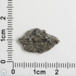 NWA 12269 (Paired) Martian Meteorite 0.65g