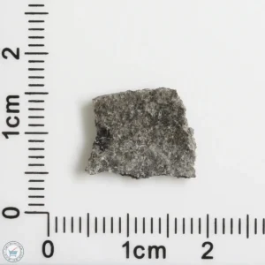 NWA 12269 (Paired) Martian Meteorite 0.63g