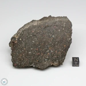 NWA 12322 Meteorite 493g End Cut