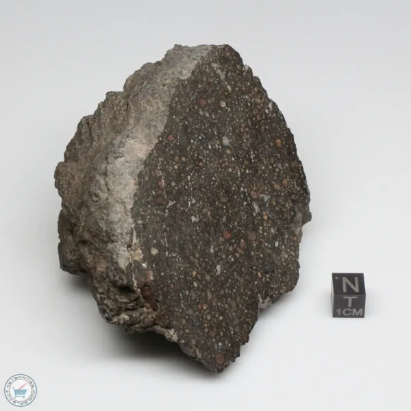 NWA 12322 Meteorite 493g End Cut