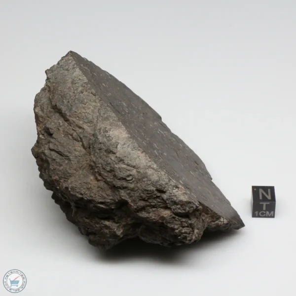 NWA 12322 Meteorite 493g End Cut