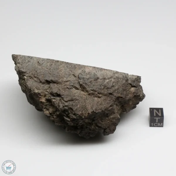 NWA 12322 Meteorite 493g End Cut