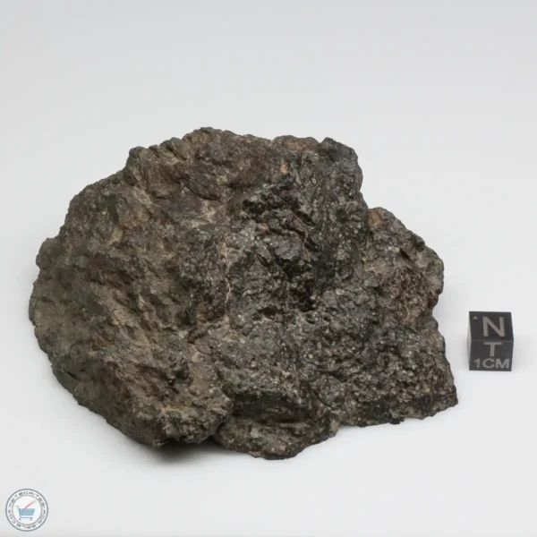 NWA 12322 Meteorite 493g End Cut