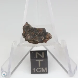 NWA 1465 Meteorite 1.3g End Cut