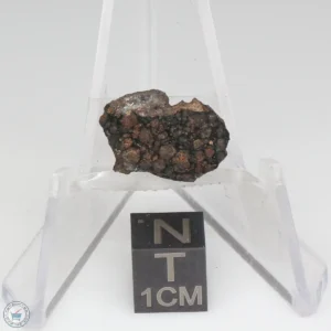 NWA 1465 Meteorite 1.2g End Cut