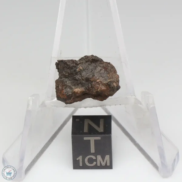 NWA 1465 Meteorite 2.1g End Cut