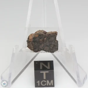 NWA 1465 Meteorite 2.1g End Cut
