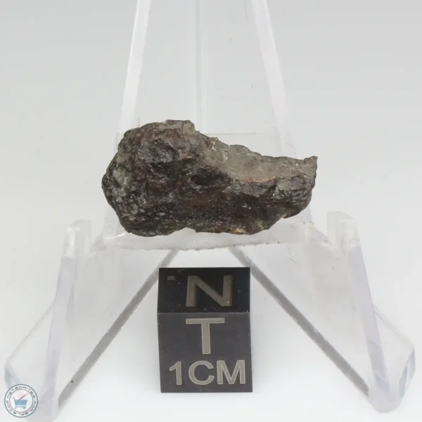 NWA 1465 Meteorite 2.1g End Cut