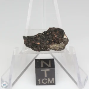 NWA 1465 Meteorite 2.1g End Cut